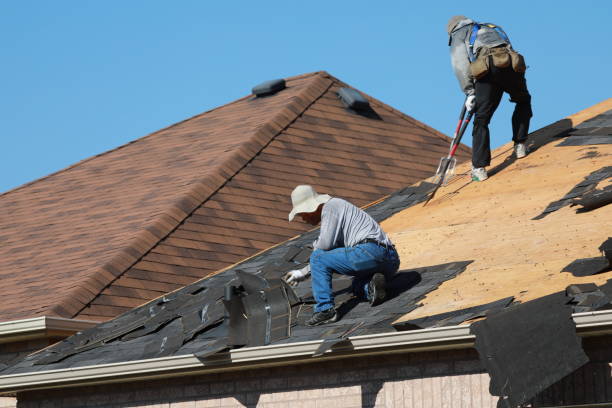 Professional Roofing service in Mount Pleasant, SC